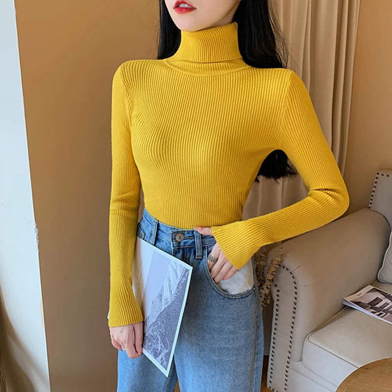 Pull en maille à col roulé , manches longues