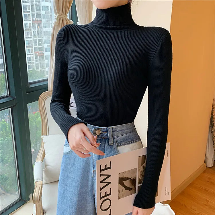 Pull en maille à col roulé , manches longues